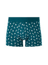 Celio Boxeri Jiboski Celio