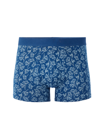 Celio Boxeri Libofloral