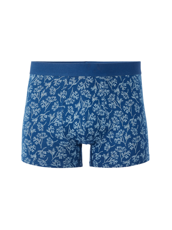 Celio Boxeri Libofloral