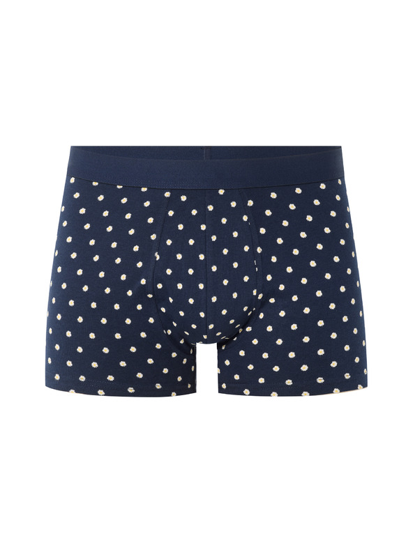 Celio Boxeri Nibodaisy