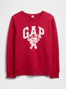 GAP Hanorac Logo GAP