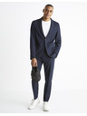 Celio Buseverin Sacou