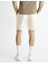 Celio Bonepsey Pantaloni scurți