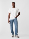 GAP Blugi Straight GAP