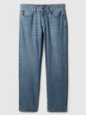GAP Blugi Straight GAP