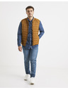 Celio Suless Vesta
