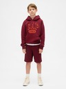GAP Hanorac unisex VintageSoft pentru copii GAP
