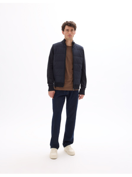 Celio Jachetă Mergus