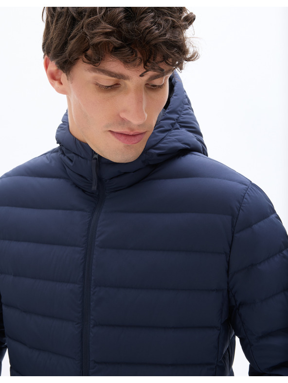 Celio Jachetă Mulighthod