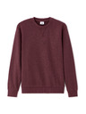 Celio Hanorace Feseven
