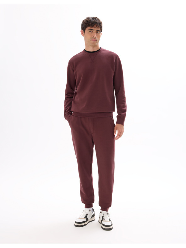 Celio Hanorace Feseven