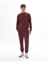 Celio Hanorace Feseven