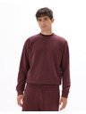 Celio Hanorace Feseven