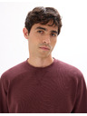 Celio Hanorace Feseven