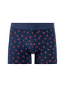 Celio Pachet cadou de boxeri Homar