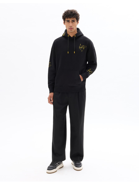 Celio Hanorac Pokemon