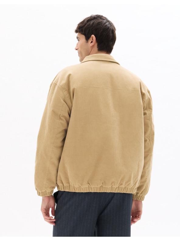 Celio Jachetă Nuyork