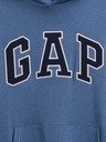 GAP Hanorac Logo GAP