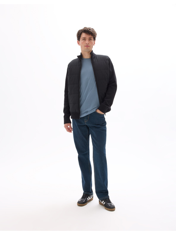 Celio Jachetă Mergus