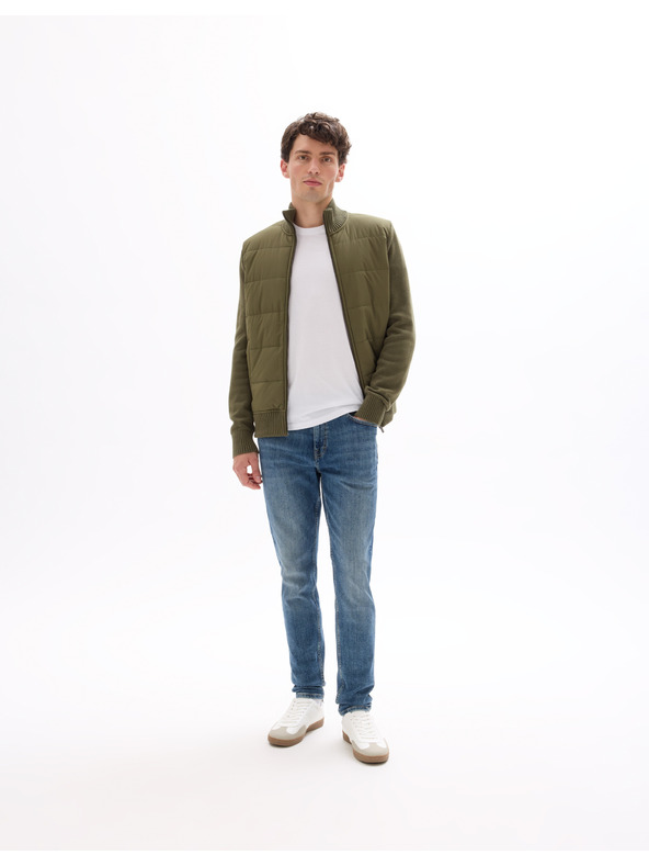 Celio Jachetă Mergus