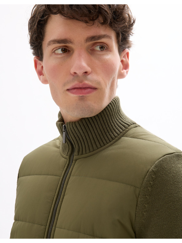 Celio Jachetă Mergus