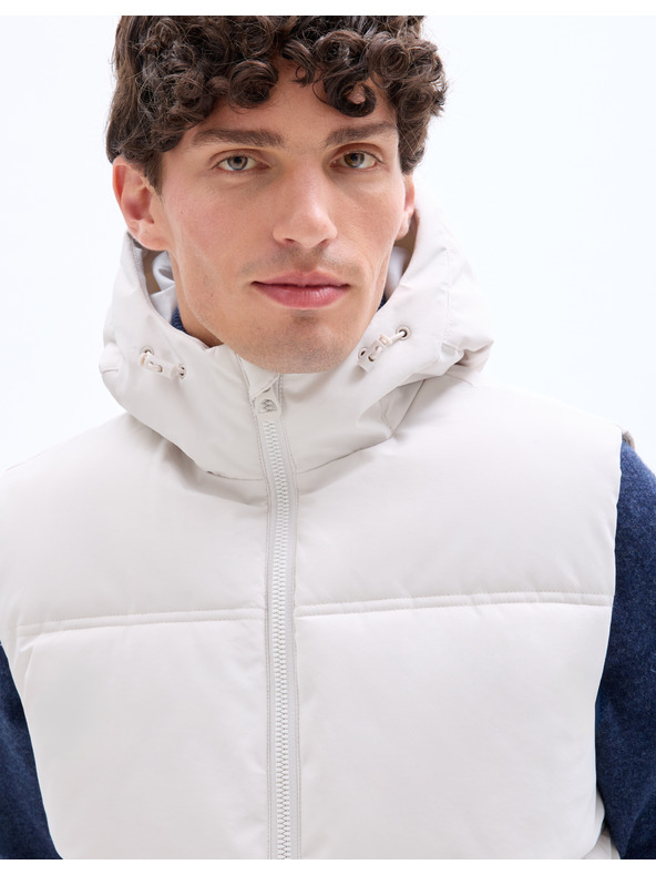 Celio Vestă Jubianco