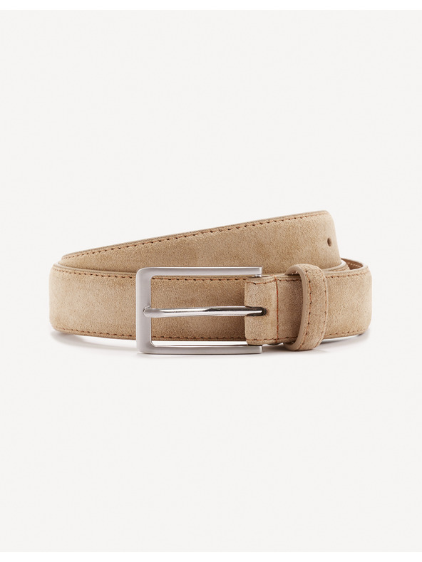 Celio Curea Gipola1
