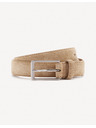 Celio Curea Gipola1