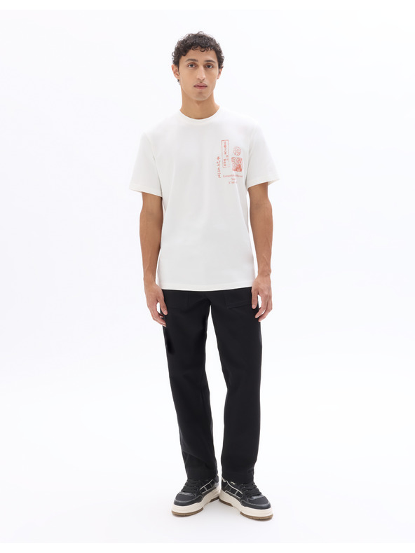 Celio Tricou Hokusai