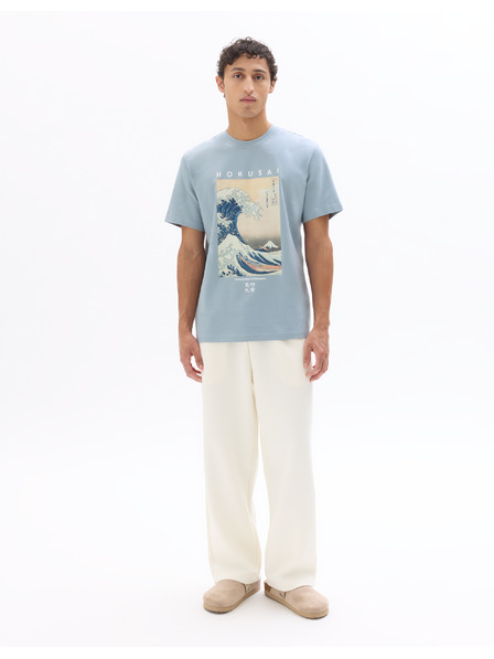 Celio Tricou Hokusai
