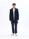 Celio Palton Jubiais