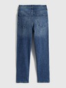 GAP Blugi Slim High Rise Vintage Washwell GAP