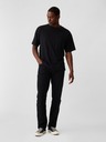 GAP Blugi Straight Twill GAP