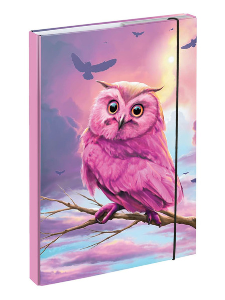 BAAGL  BAAGL Dosare pentru caiete scolare A4 Bufnita