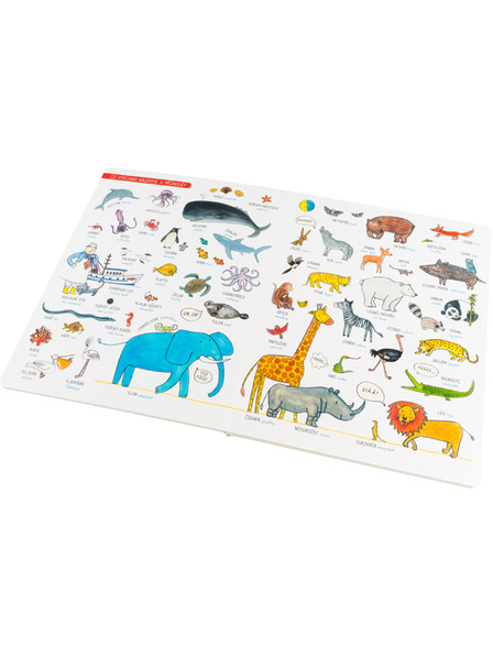 ELLA & MAX Cartea mare CUVINTE pentru micii povești