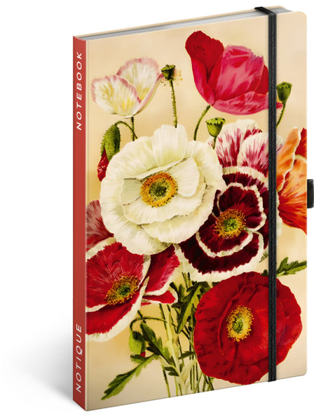 NOTIQUE NOTIQUE Notes Maci de Kateřina Winterová, liniat, 13 x 21 cm