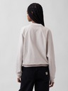 GAP Hanorac oversize Logo GAP