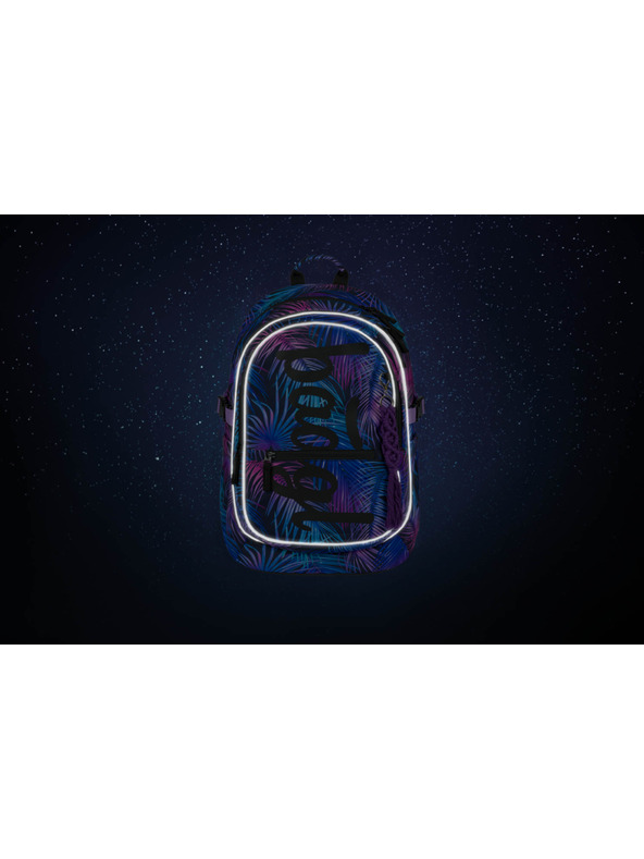 BAAGL  BAAGL Rucsac școlar Core Palm