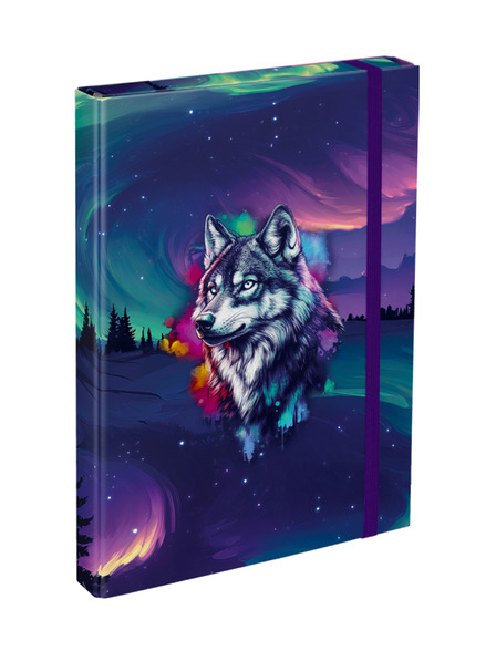 BAAGL  BAAGL Dosare pentru caiete școlare A4 Aurora