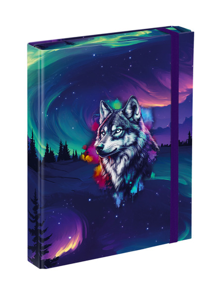 BAAGL  BAAGL Dosare pentru caiete școlare A5 Aurora