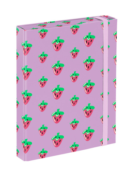 BAAGL  BAAGL Dosare pentru caiete școlare A5 Lavender