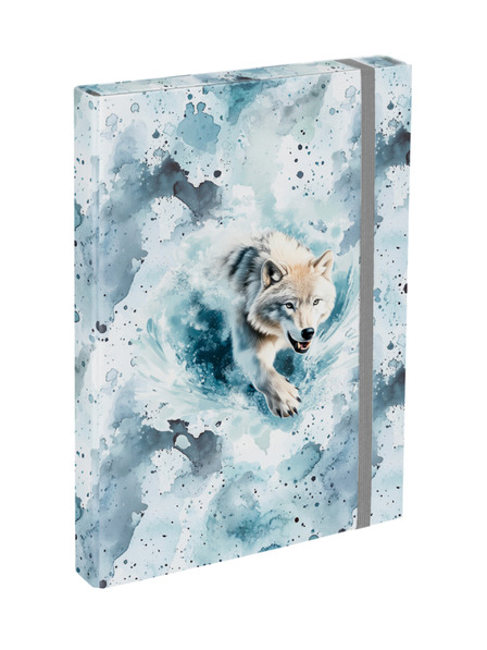 BAAGL  BAAGL Dosare pentru caiete școlare A4 Polar