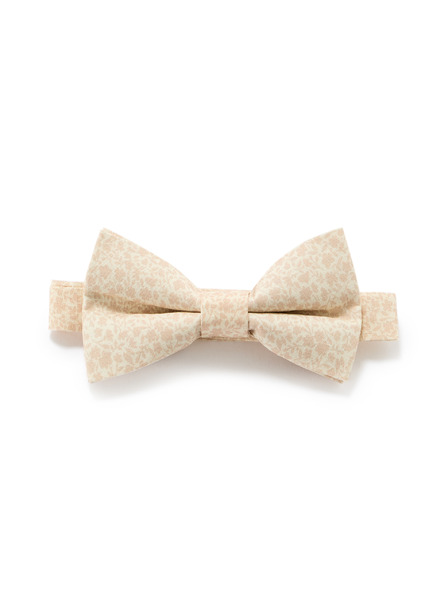 Celio Papion Nibowaop1