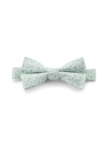 Celio Papion Nibowaop1