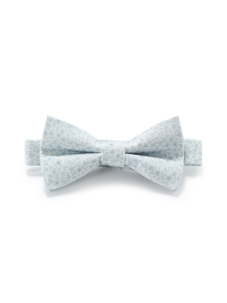 Celio Papion Nibowaop1