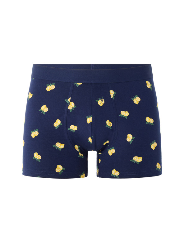 Celio Boxeri Nibolemon
