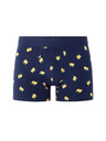 Celio Boxeri Nibolemon