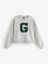 GAP Hanorac Logo GAP