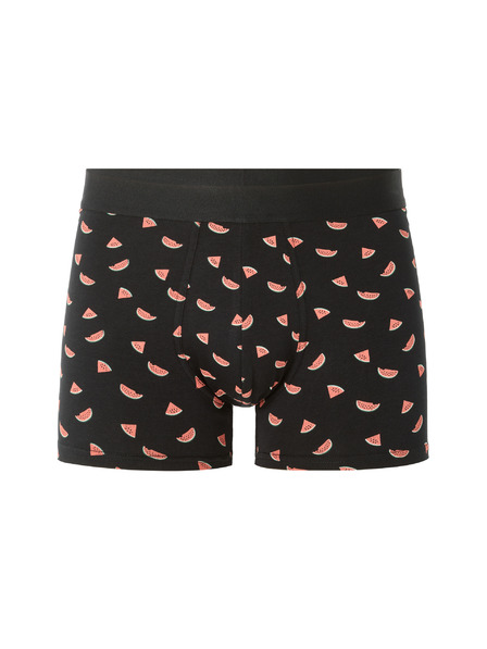 Celio Boxeri Nibopastec