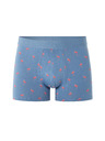 Celio Boxeri Niboflamin